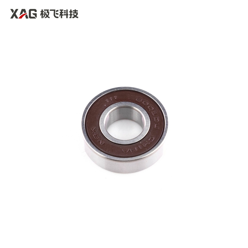 6001 Bearing