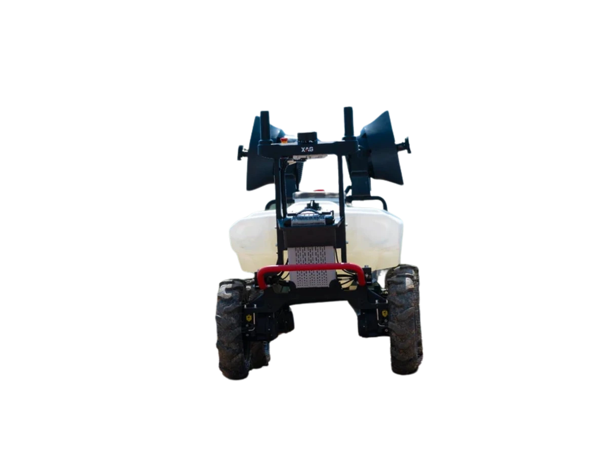 Rover