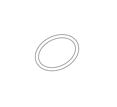 O-Ring